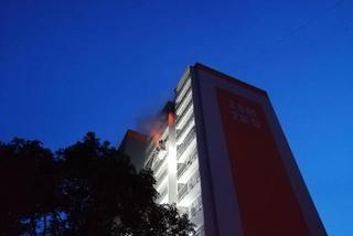 Tragiczny pożar w Zabrzu: Nie żyje jedna osoba