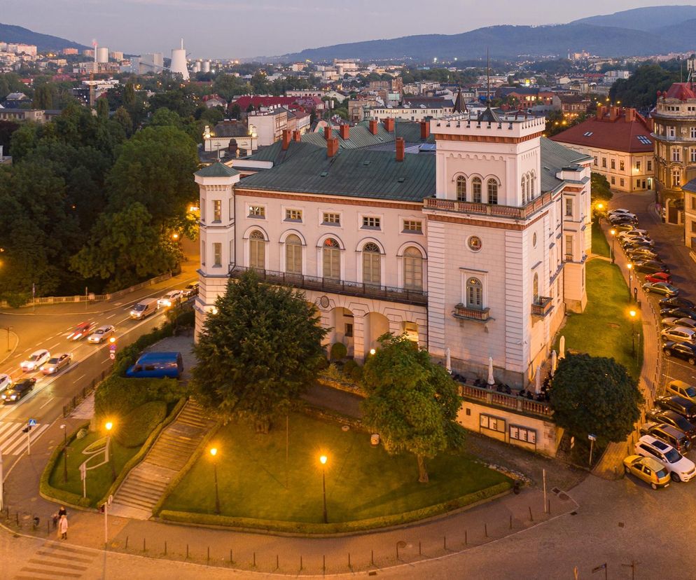 Największe muzea w województwie śląskim. Są imponujące  Aktywny