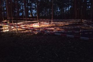 Niebezpieczne znalezisko w Gdyni