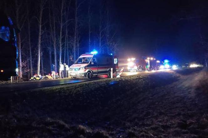  Wypadek na DK 53 w Olszynach. Samochód uderzył w drzewo. Trzy osoby ranne [FOTO]