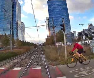 Wstrząsające nagranie w tramwaju. Rowerzysta przejechał na czerwonym świetle przez pasy