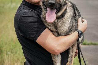 Psy na służbie w wielkopolskiej policji