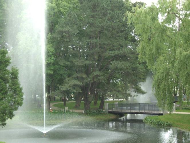 Nagroda w kategorii tereny zielone za rewaloryzację Parków Podjasnogórskich: Parku Staszica i Parku 3 Maja w Częstochowie