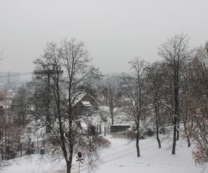 Elka w Parku Śląskim. Widok z góry