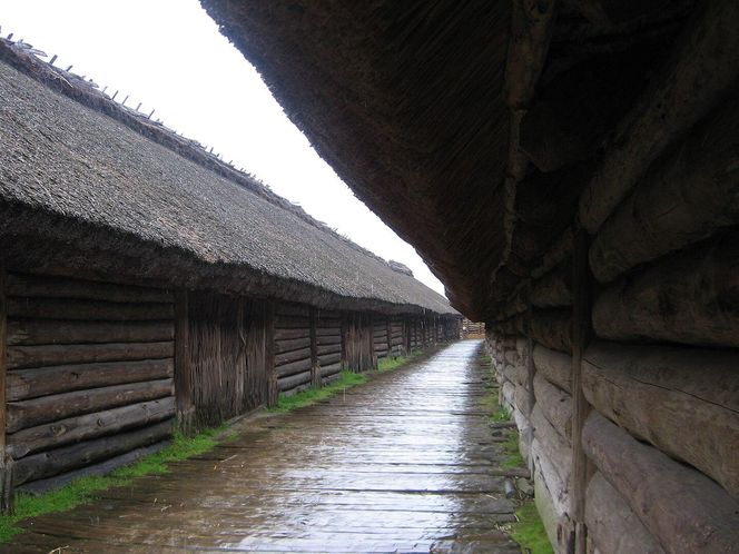 Biskupin