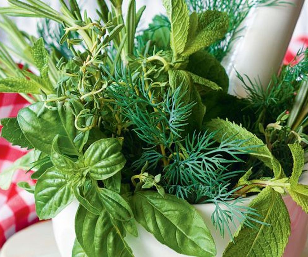 Zioła w ciąży. Jakie zioła są bezpieczne w ciąży?