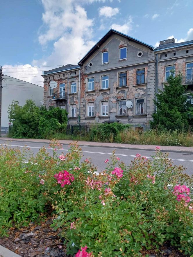 Kamienica Giepardów w Starachowicach