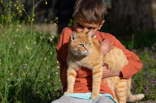 Zwróciła uwagę chłopcu, który dręczył kota. Matka dziecka zrobiła jej awanturę przed kościołem