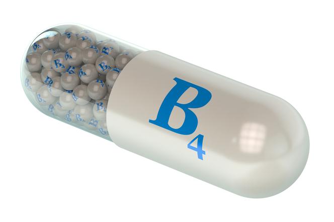 Cholina (witamina B4) - działanie i źródła występowania