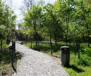 Tak wygląda park w dolinie Ślepiotki w Katowicach