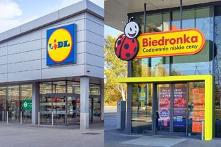 Szaleństwo promocji w Biedronce i w Lidlu! Hity za 1 zł i 1 gr, a nawet gratis!