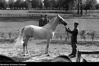 Janów Podlaski na starych zdjęciach