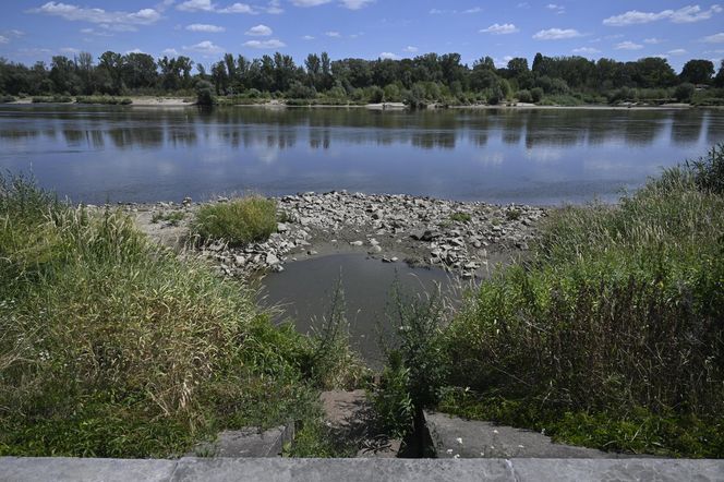 Alarm! Wisła wysycha na naszych oczach. Katastrofalny poziom wody w Warszawie