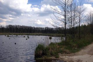 Podlaskie: Okolice wsi Radunin [ZDJĘCIE DNIA]