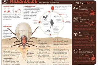 Kleszcze przenoszą boreliozę i kleszczowe zapalnie opon mózgowych