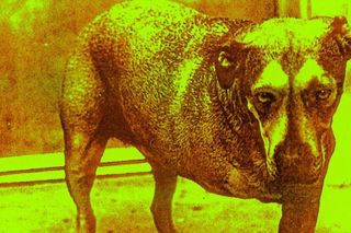 Alice in Chains - 5 ciekawostek o albumie Alice in Chains na 30-lecie wydania | Jak dziś rockuje?	