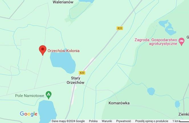 Orzechów-Kolonia