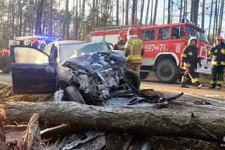 Przasnysz. Auto z kobietą i dzieckiem uderzyło w drzewo! Później spadł na nie pień! [ZDJĘCIA]