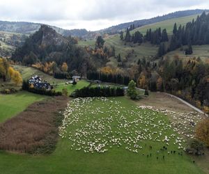 Pieniny Spiskie. Jedna z najmniej znanych część Małopolski kryje niezwykłą historię