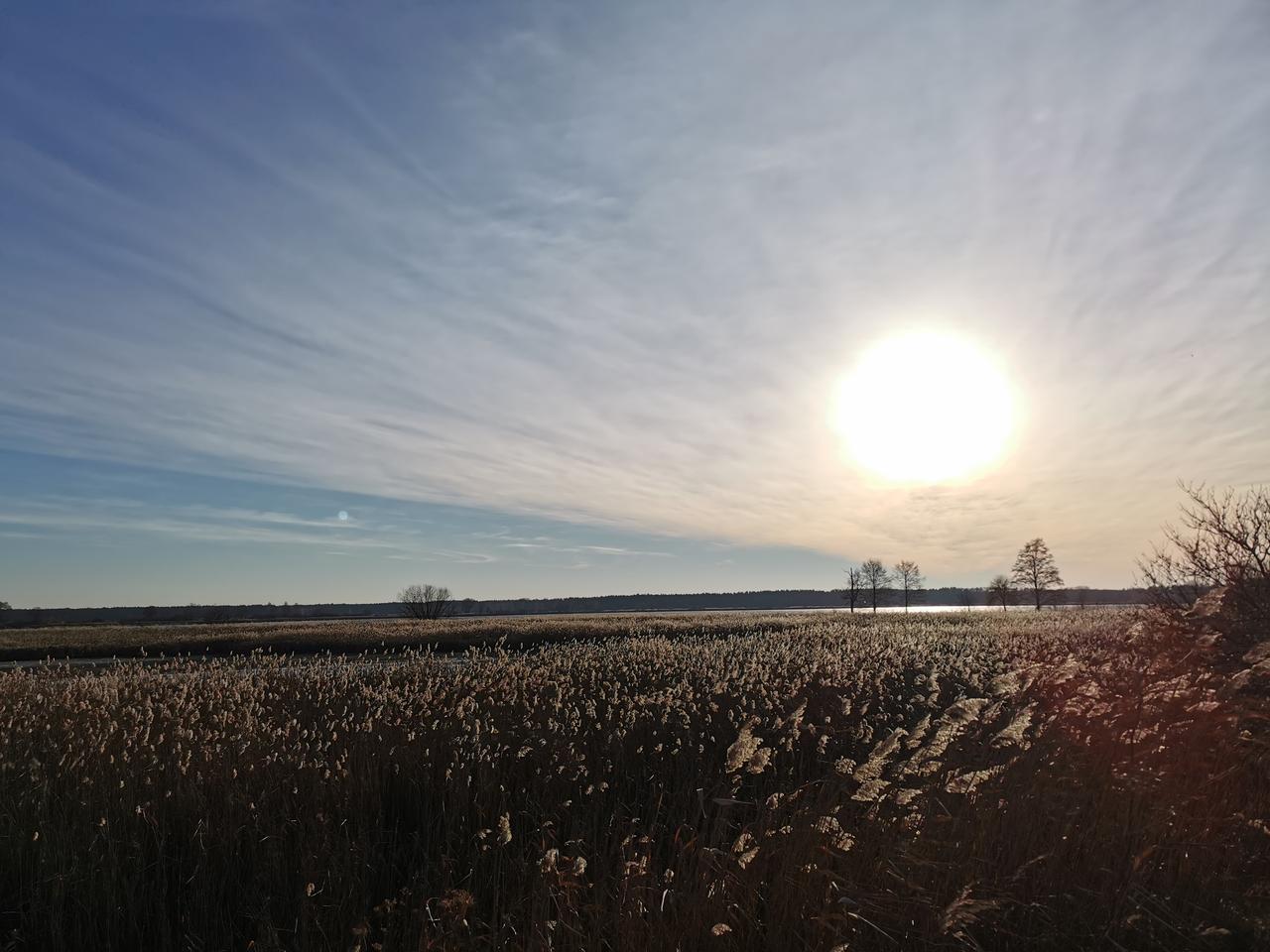 Ku zachodowi. Poświąteczny spacer nad stawami przygodzickimi [GALERIA]