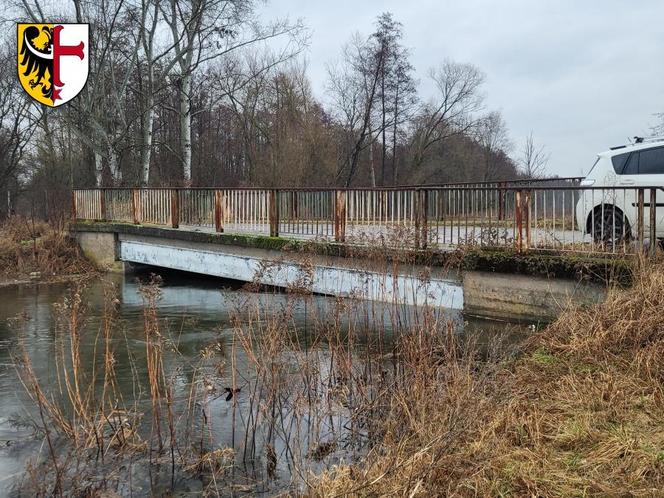 Podtopione domy pod Wrocławiem. Przerwany wał i stan alarmowy na kilku rzekach 