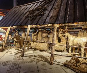 Jarmark bożonarodzeniowy w Katowicach jak Last Christmas - wiadomo, czego się spodziewać