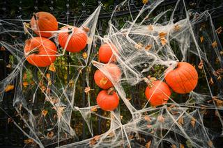 Gdańsk: Dom jak z horroru. Udekorowali budynek na helloween [ZDJĘCIA]