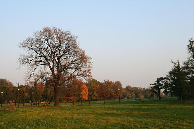 Park pałacowy w Świerklańcu