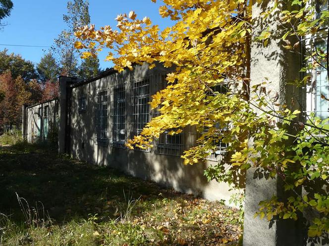 Opuszczony szpital w Zabrzu. Kiedyś świetna lecznica. Teraz odstraszająca ruina
