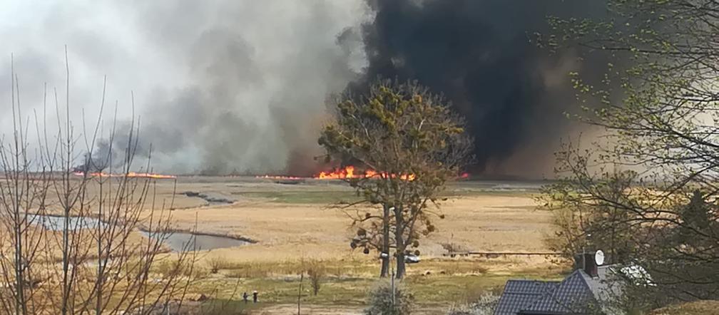 Biebrzański Park Narodowy: Ogromny pożar 2020 - zdjęcia Internautów