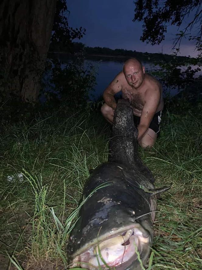 Mazowsze. Prawdziwa gruba ryba! Prawie 2,5 metrowy potwór pływał w Wiśle!