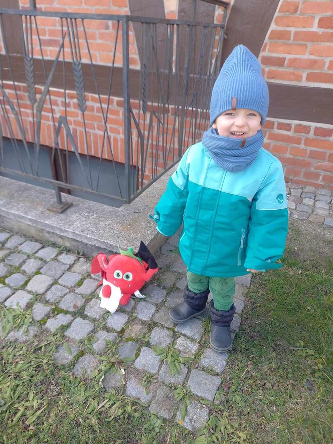 Akcja Miś - Nie Bij Mnie Kochaj Mnie w Elblągu