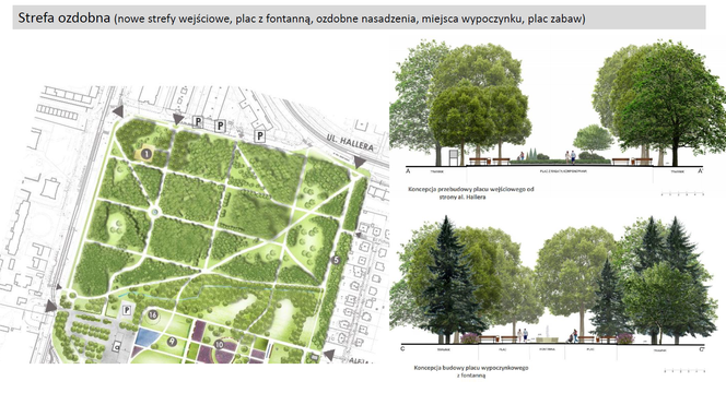 Tak może wyglądać park Grabiszyński