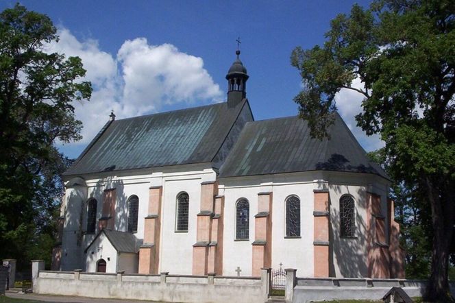 Mieszkańcy tych miast mają najniższe wykształcenie. Jak wygląda sytuacja w Łódzkiem?