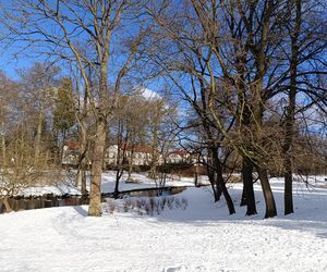 Park Oliwski. Palmiarnia i Pałac Opatów. Za darmo w Gdańsku