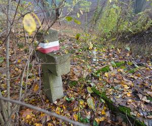 Byliśmy na Górze Czarownic w Fordonie. Na stosach spłonęły tu przynajmniej 72 kobiety [ZDJĘCIA]