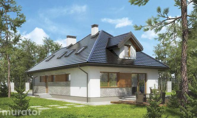 Projekt M195 Północny szlak