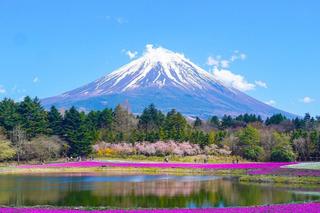 Góra Fuji w niebezpieczeństwie! Władze chcą ograniczyć dostęp turystom