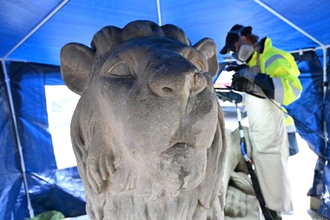 Koszalińskie lwy odzyskały dawny blask