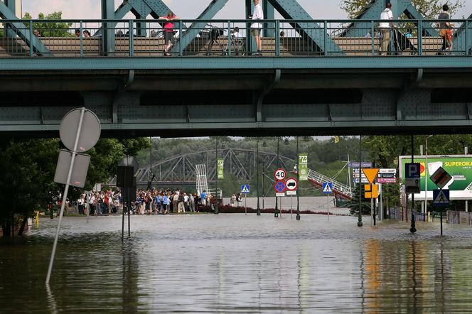 Toruń 2010