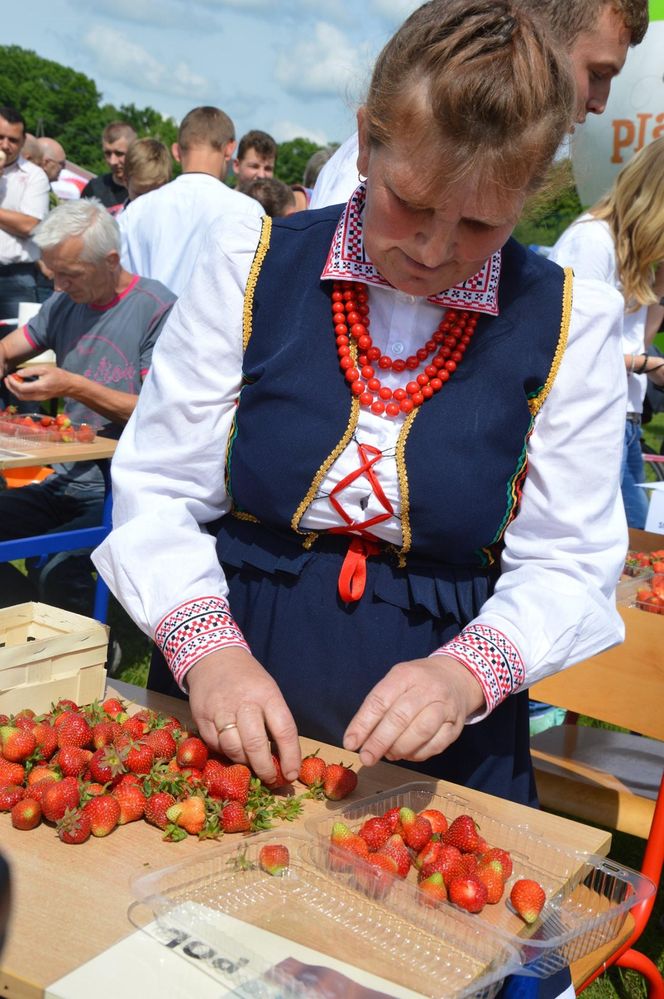 Truskawka Bielińska