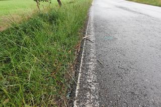 Wypadek w Bilczycach 