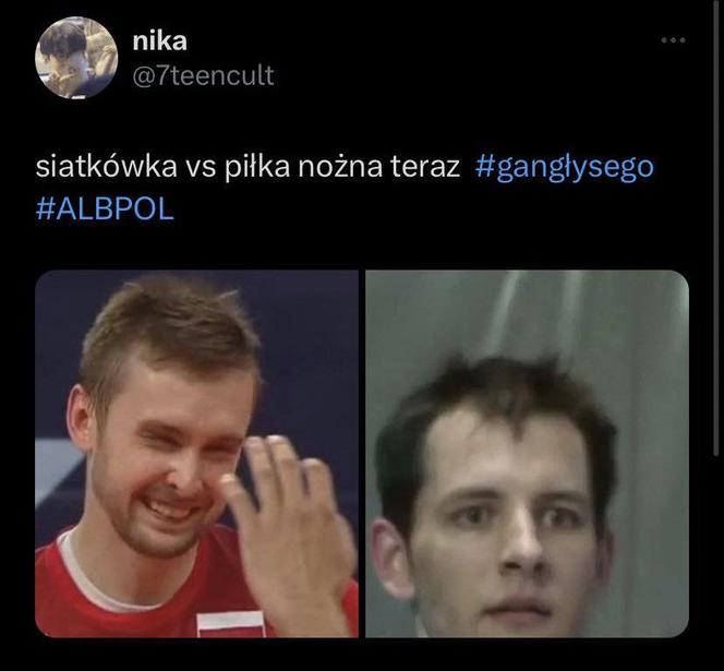 MEMY po meczu Albania - Polska