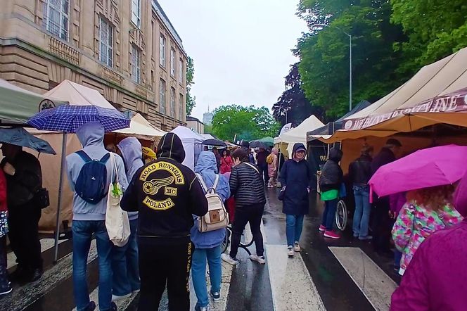 Kiermasz "Pamiętajcie o ogrodach"