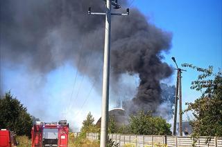 Pożar pod Krosnem Odrzańskim w Lubuskiem
