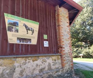 50. Jubileuszowy Rajd Miłośników Roztocza