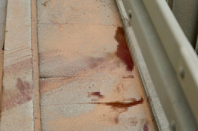 Warszawa sparaliżowana! Karambol po potrąceniu dzika. Kosmiczny korek aż do Marsa