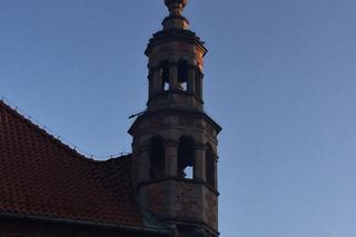 Toruński Budżet Obywatelski