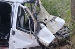 Bus rozbił się na drzewie. Wielu poszkodowanych, śmigłowiec LPR w akcji