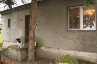 Chłopaki do wzięcia Bandziorek dom